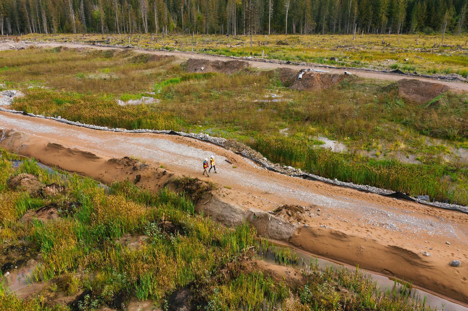 Consultoría Técnica